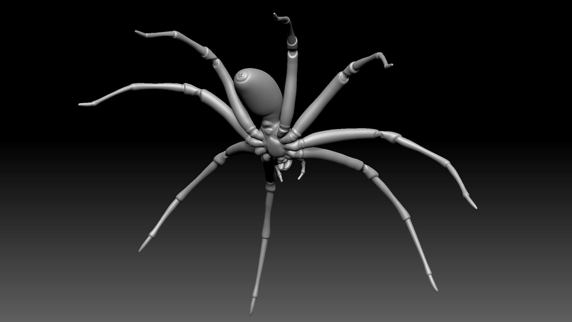 Brown Recluse Spider Low-poly 3D model_11