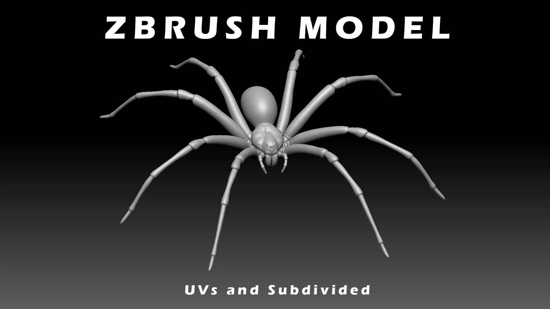 Brown Recluse Spider Low-poly 3D model_0