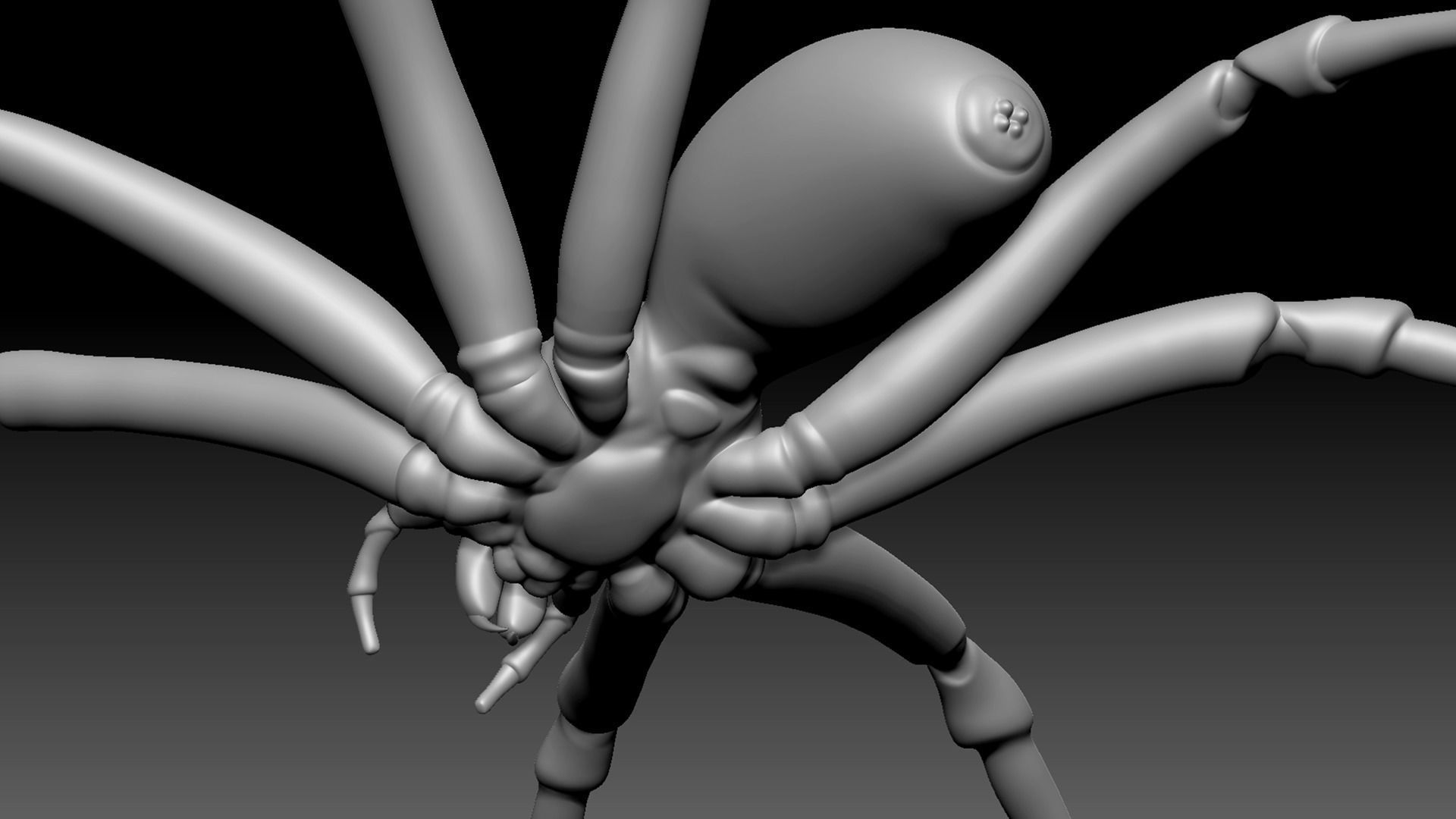 Brown Recluse Spider Low-poly 3D model_8