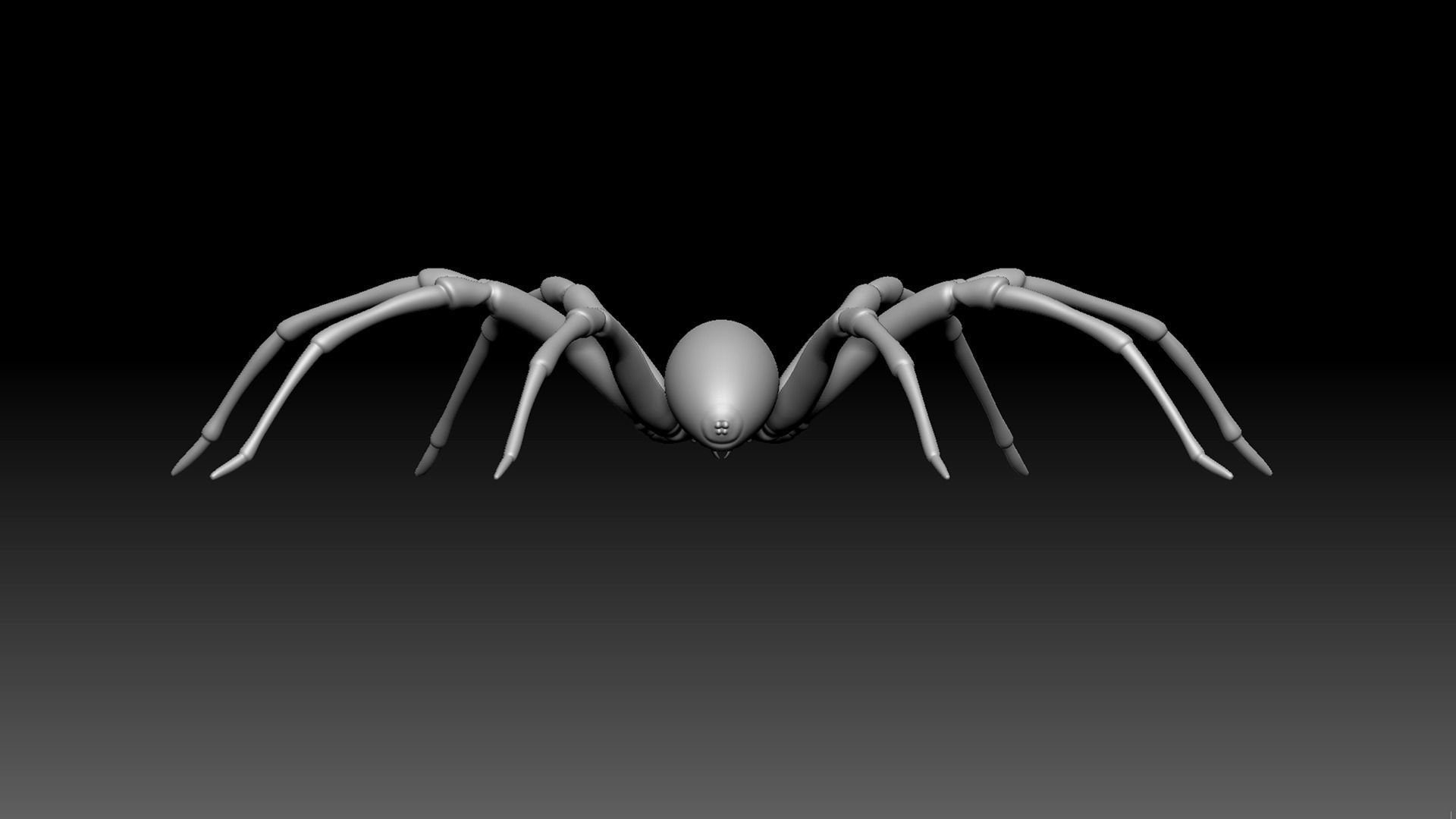 Brown Recluse Spider Low-poly 3D model_4