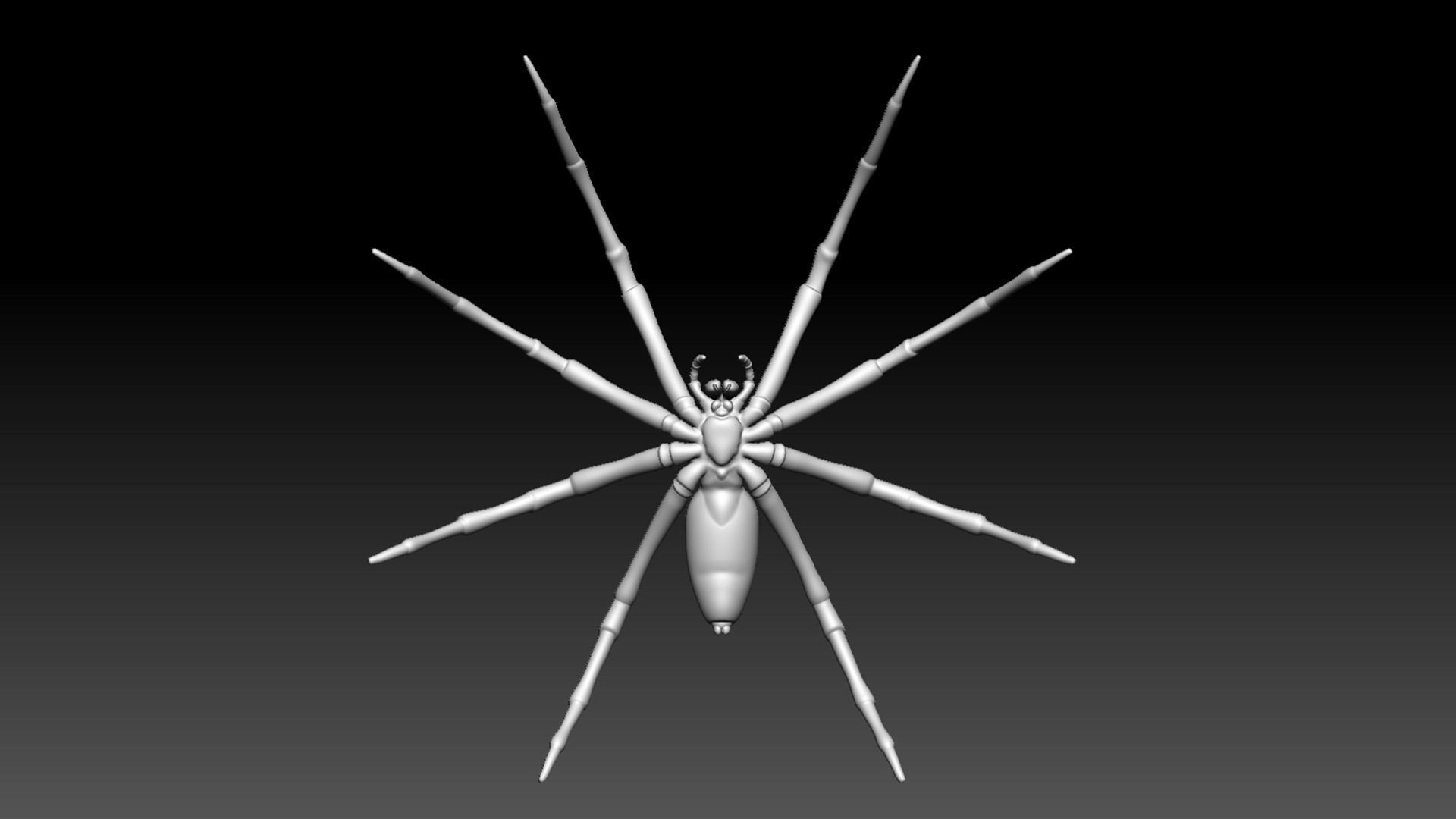 Fishing Spider Low-poly 3D model_6