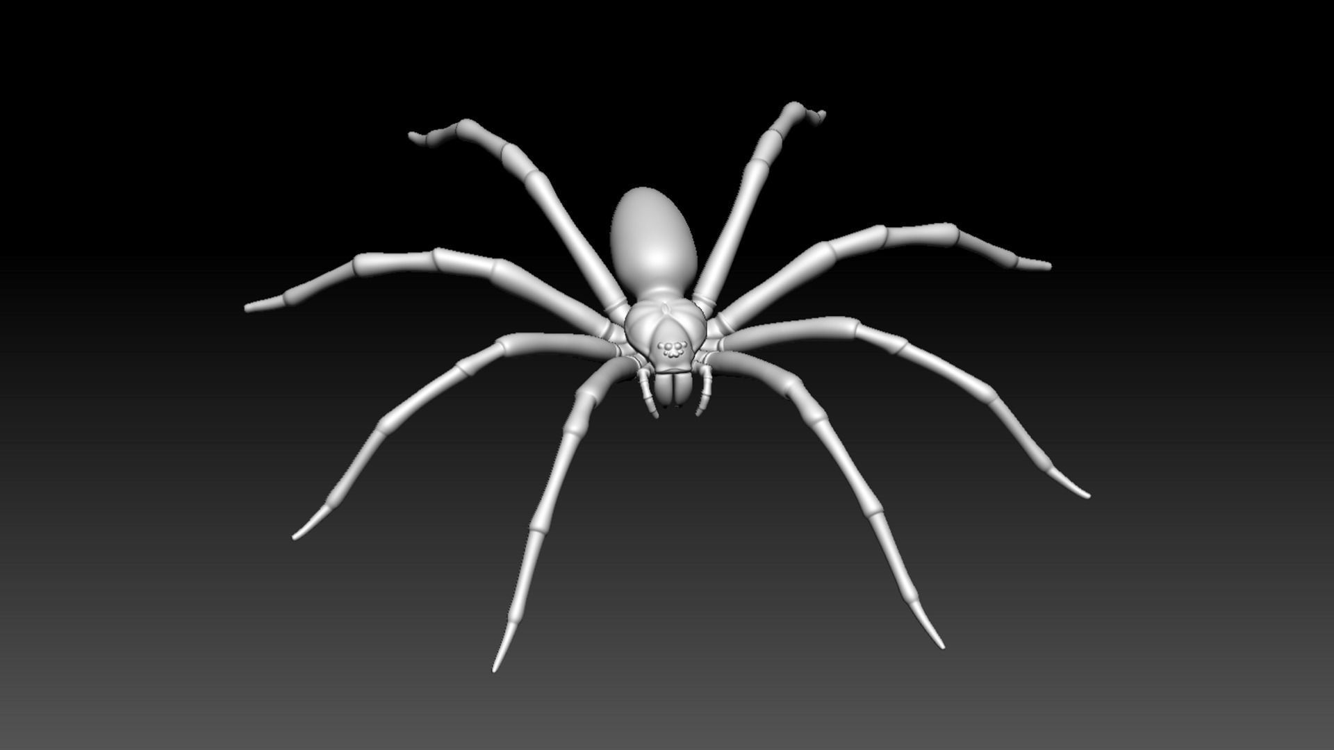 Fishing Spider Low-poly 3D model_1