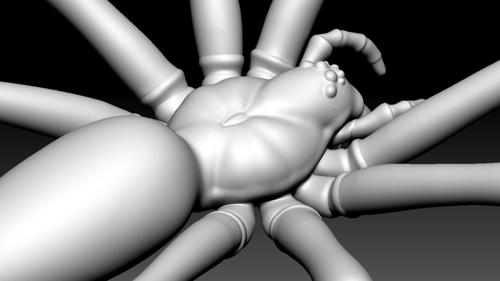 Fishing Spider Low-poly 3D model_8