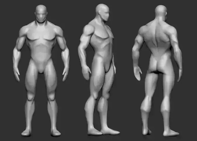 Stylized Male Basebody 