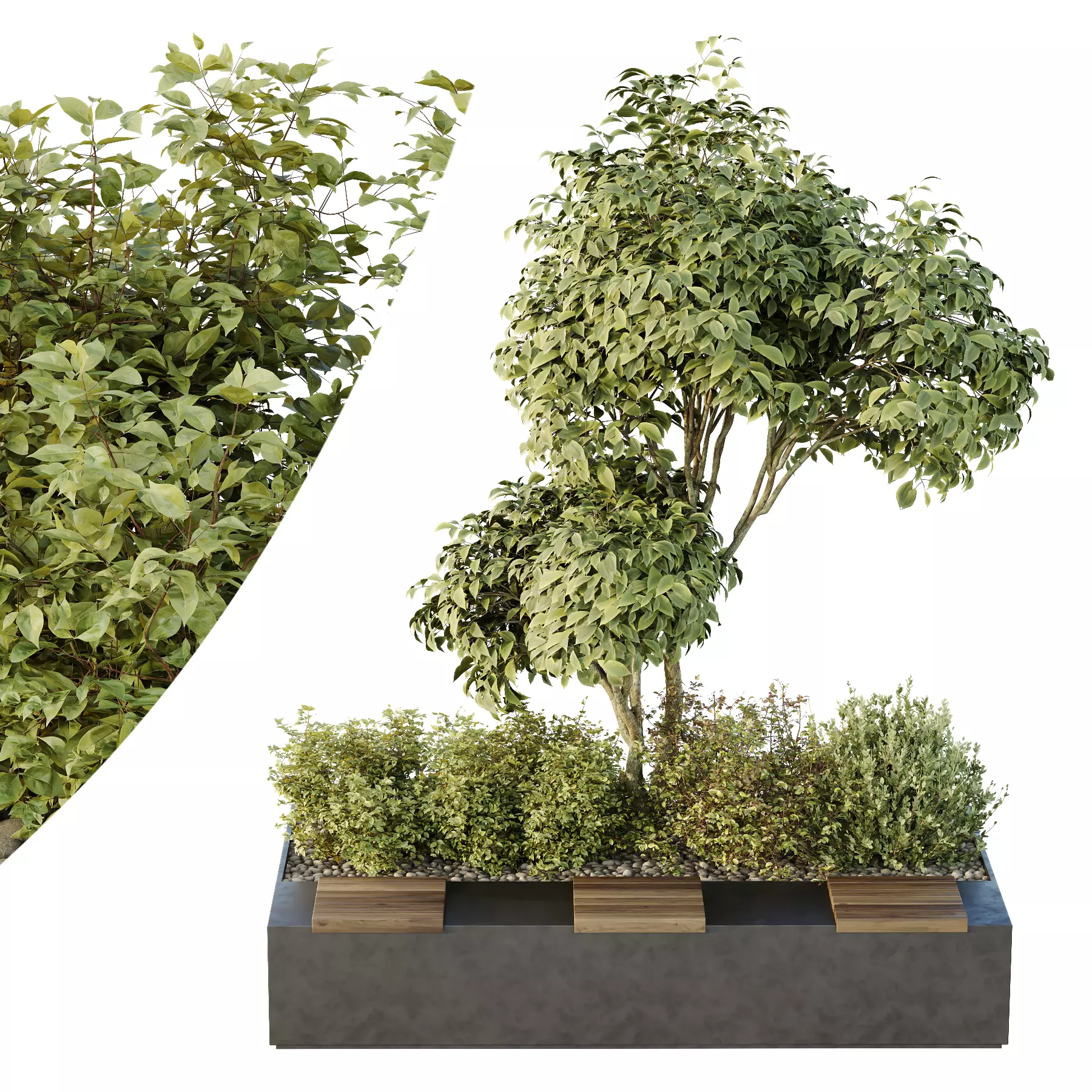 HQ Tree and bush garden box outdoor VOL 34 3D model