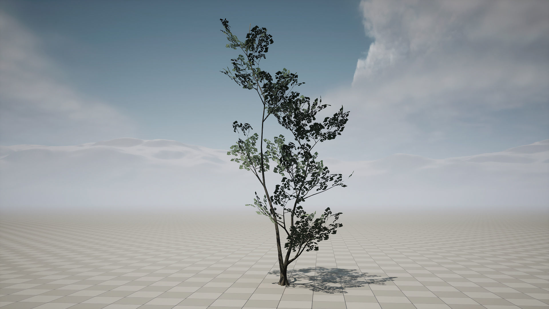 Forest Pack Low-poly 3D model_12