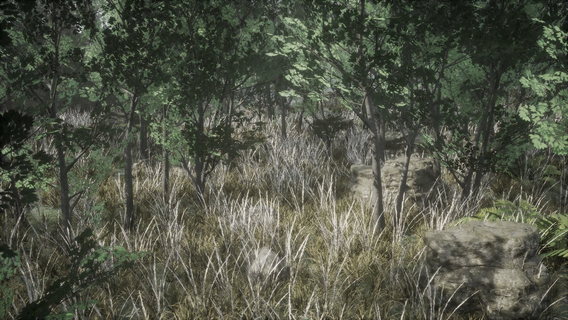 Forest Pack Low-poly 3D model_3