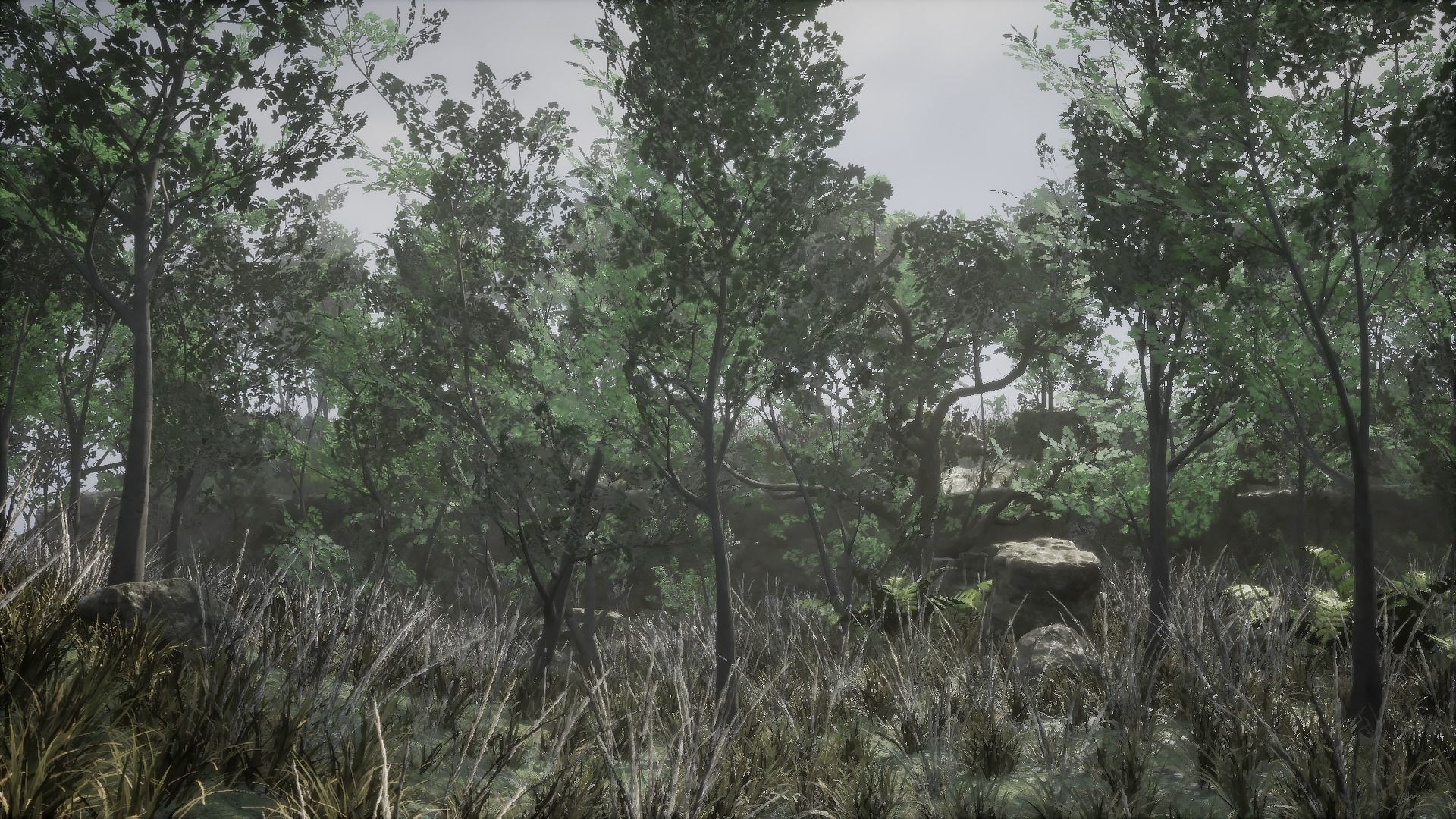 Forest Pack Low-poly 3D model_1