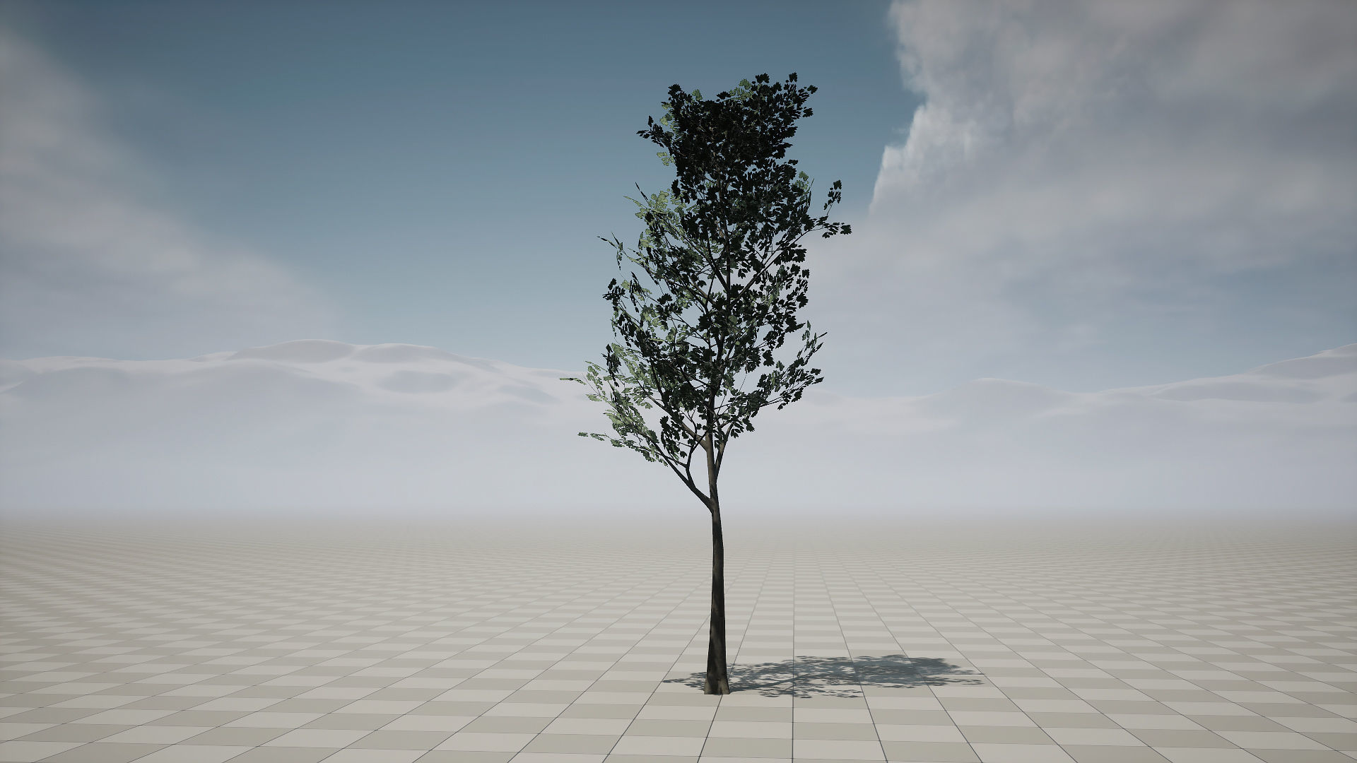 Forest Pack Low-poly 3D model_10