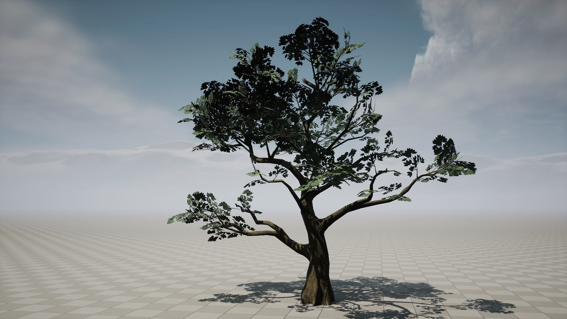 Forest Pack Low-poly 3D model_8