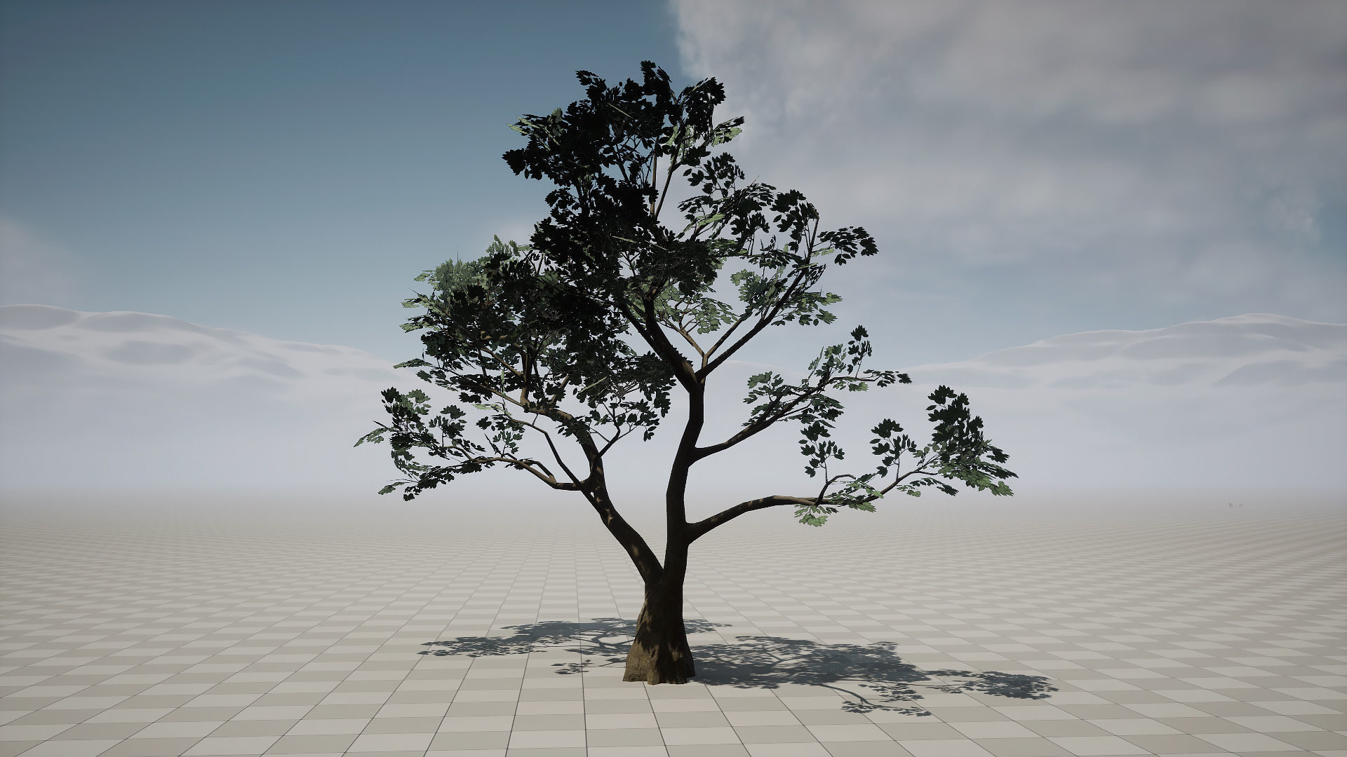 Forest Pack Low-poly 3D model_7