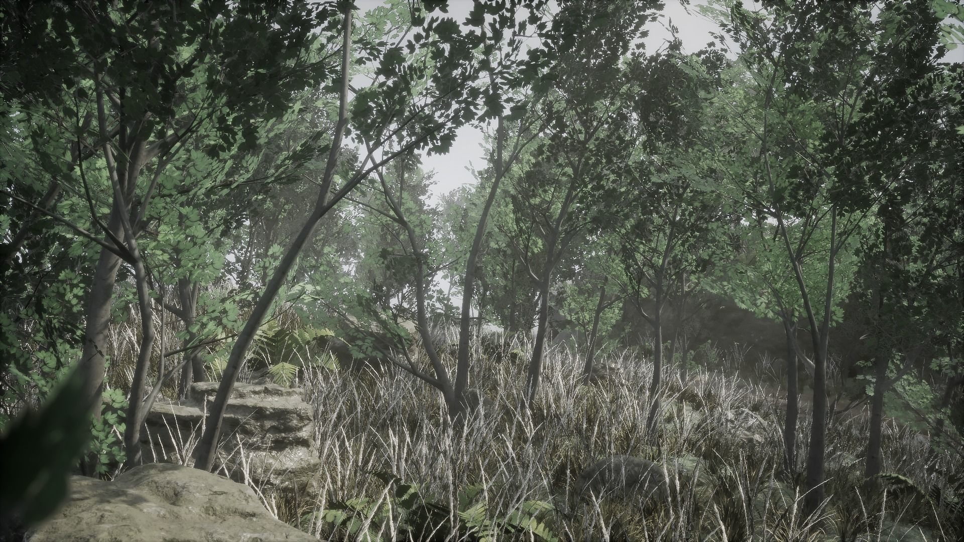 Forest Pack Low-poly 3D model_2