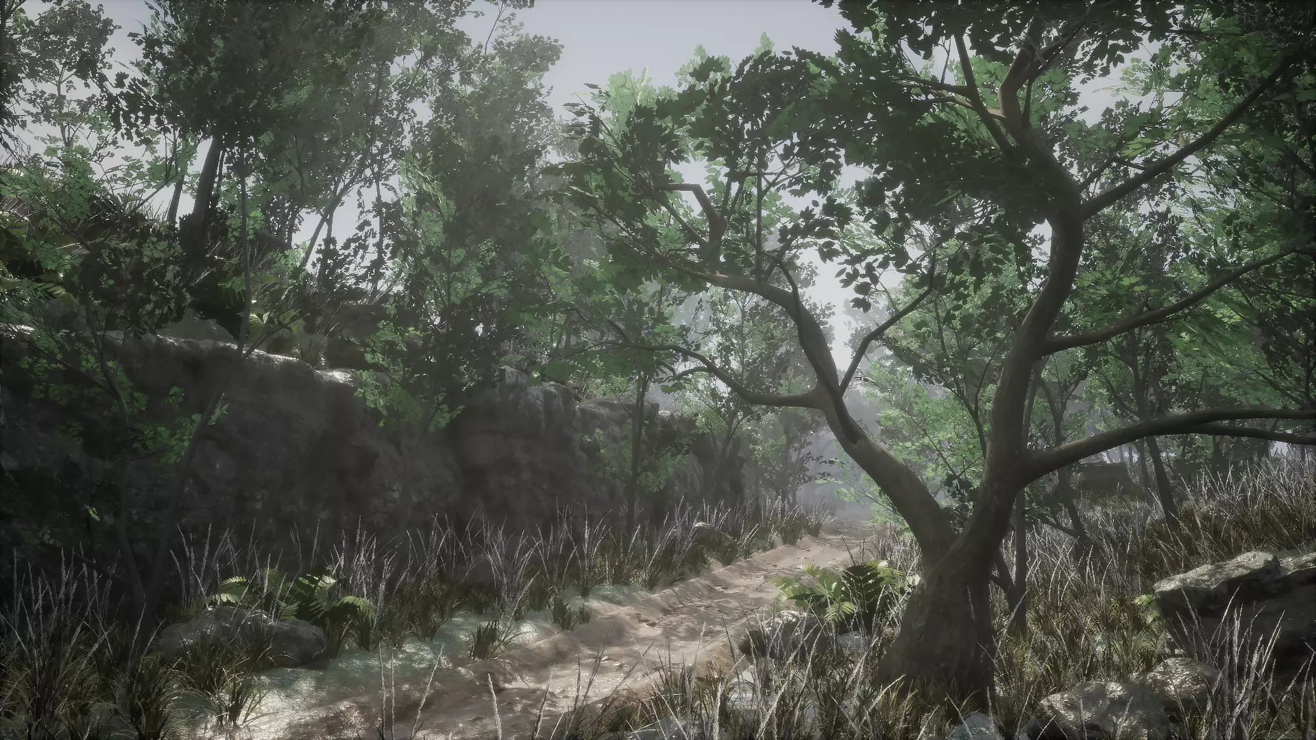 Forest Pack Low-poly 3D model_0