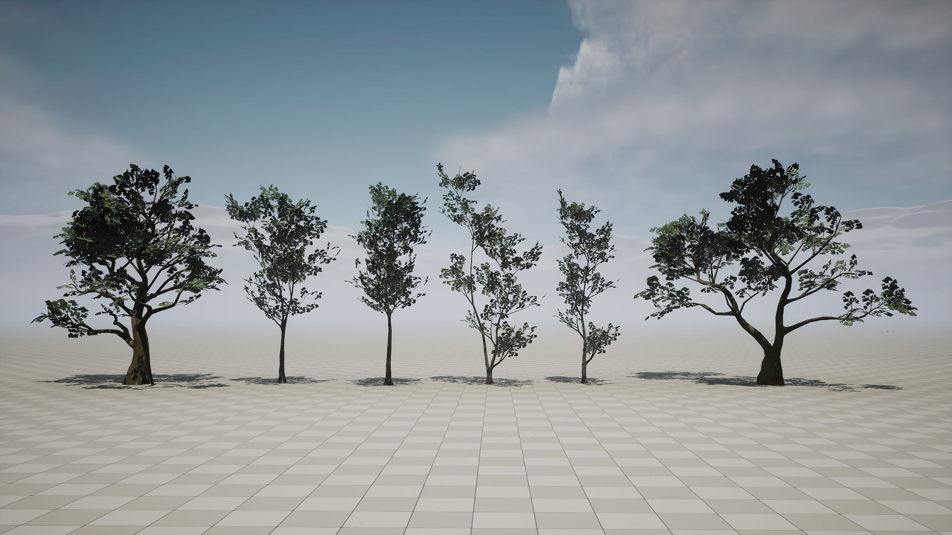 Forest Pack Low-poly 3D model_4