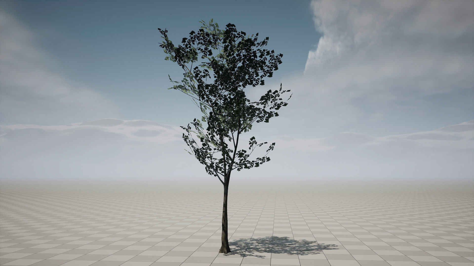 Forest Pack Low-poly 3D model_9