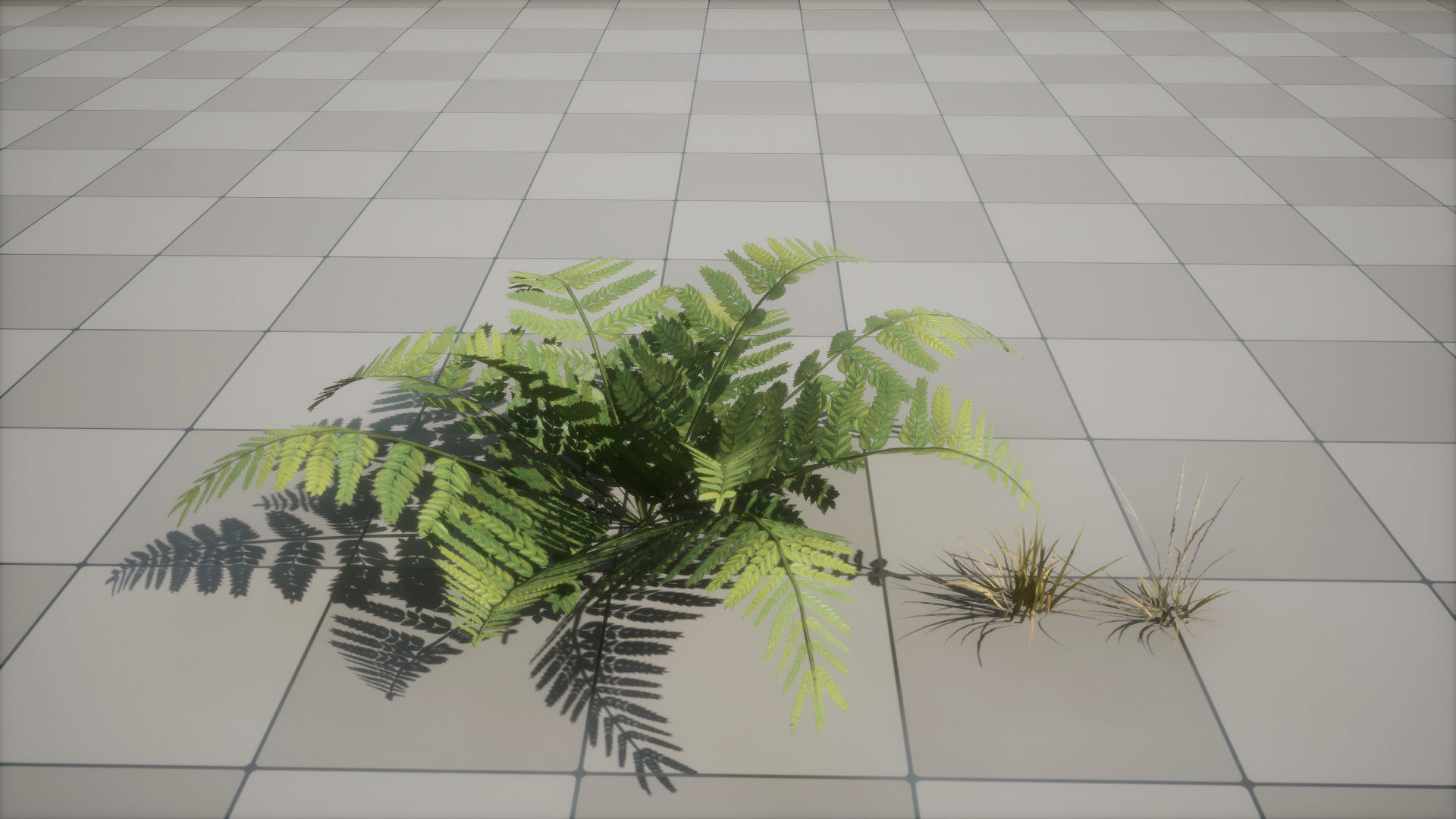 Forest Pack Low-poly 3D model_6