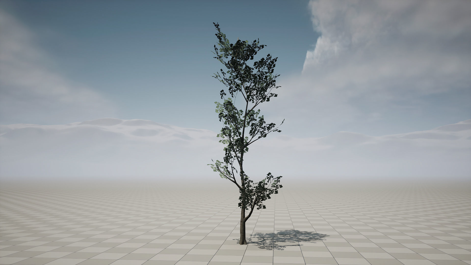 Forest Pack Low-poly 3D model_11