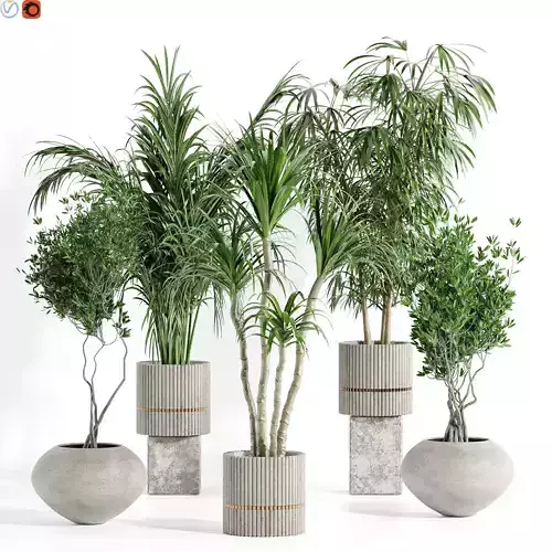 indoor plants set 52