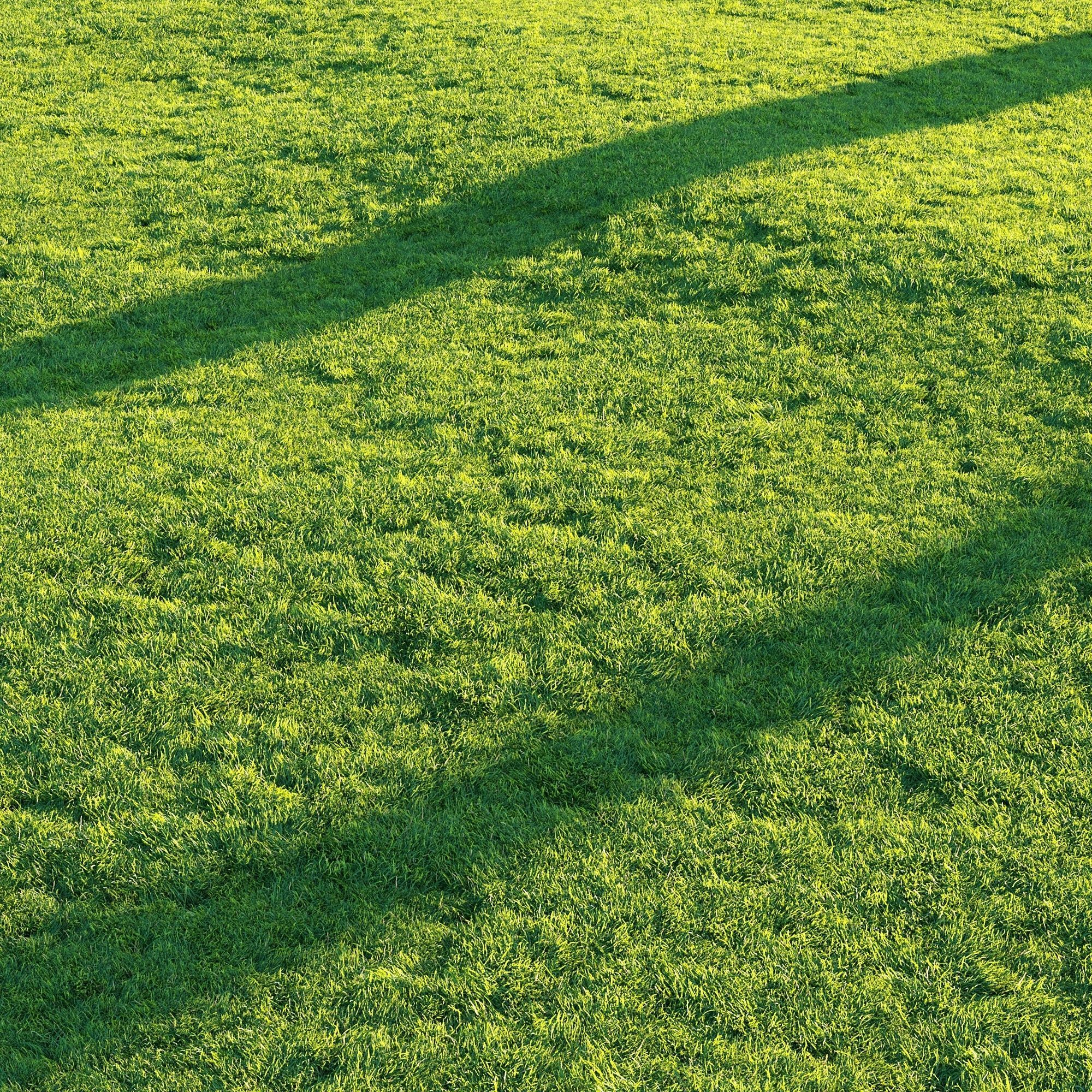 Grass 3D model_4