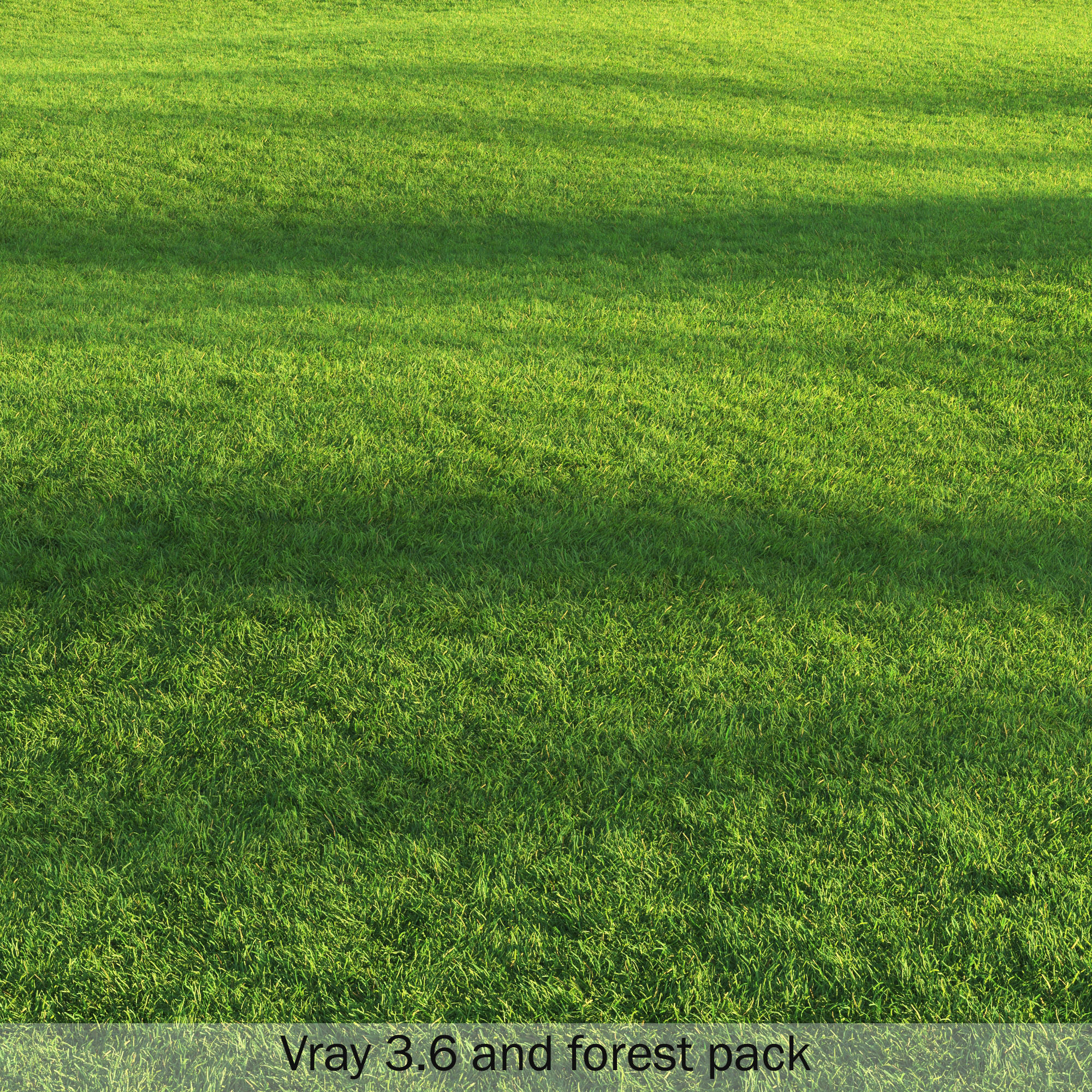 Grass 3D model_2