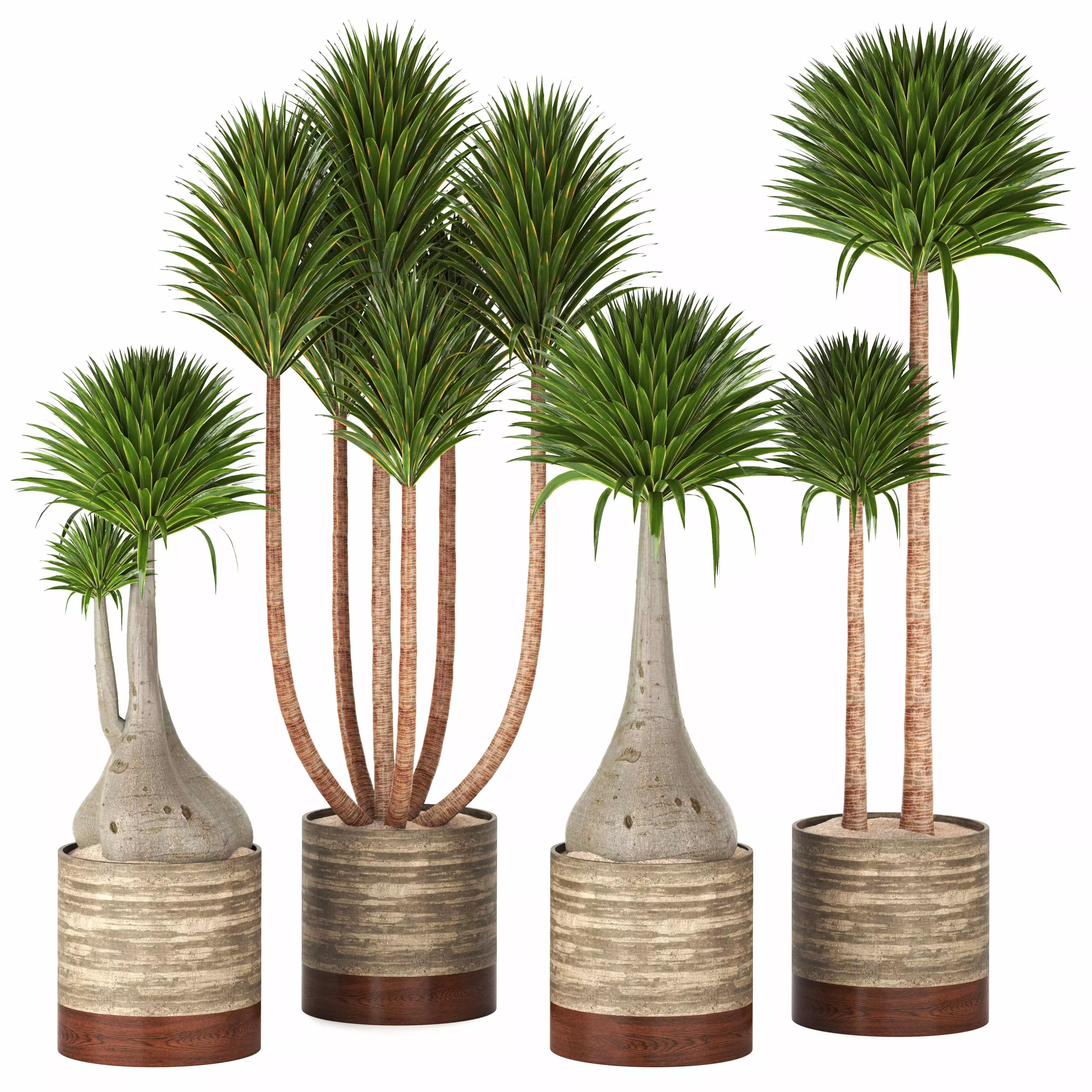 Indoor Plants in Ferm Living Bau Pot Large - Set020 3D model
