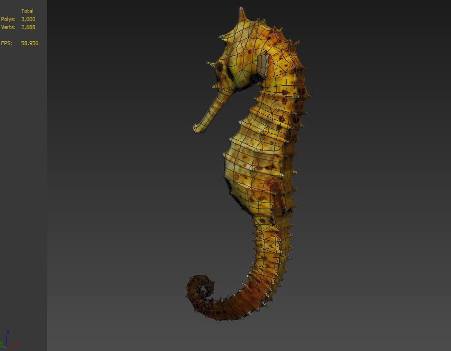 Seahorse stickleback  Water Horse Sea Dragon  Marine  3D model_5