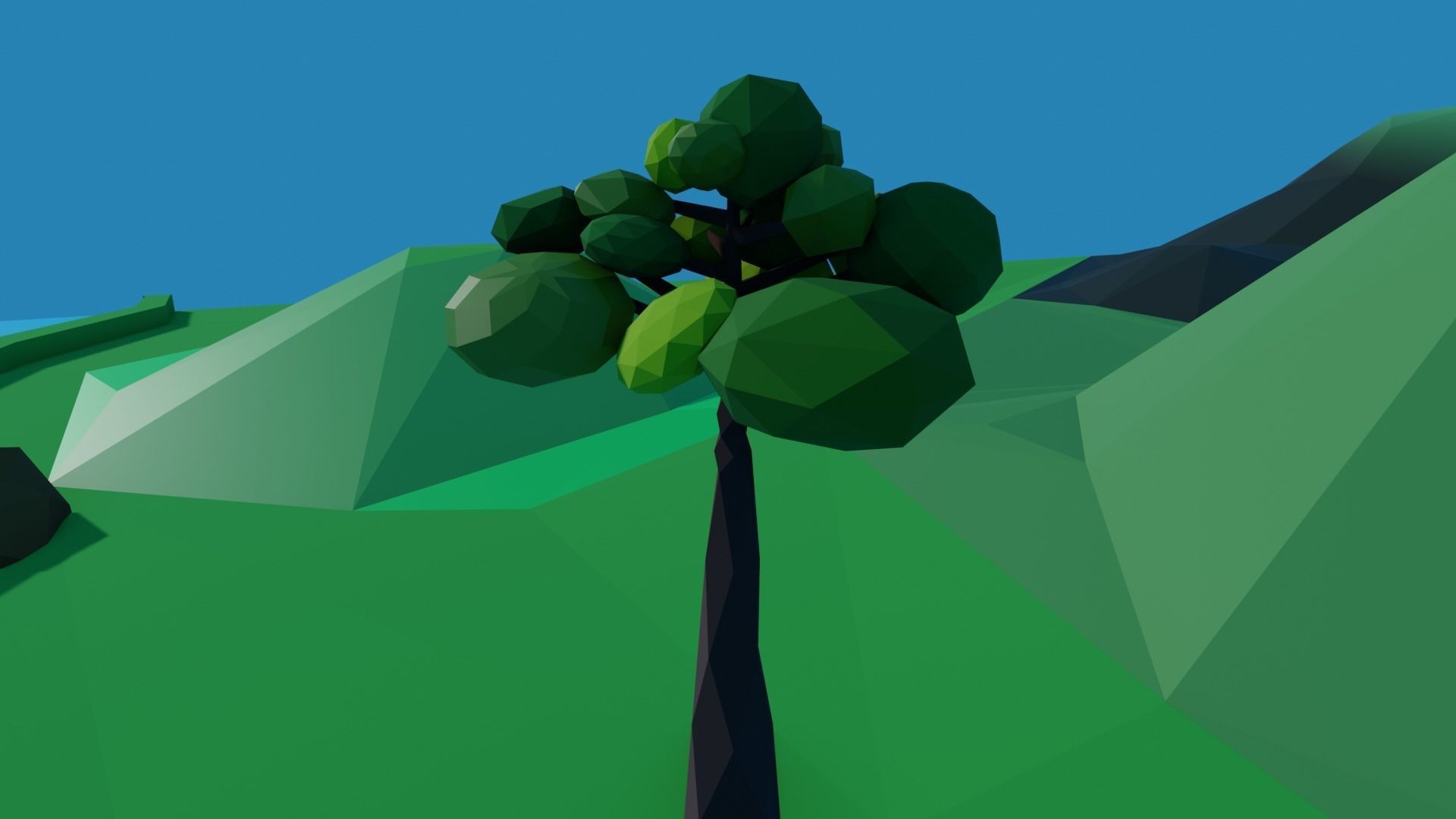 Low Poly Tall Tree Model Low-poly 3D model_2