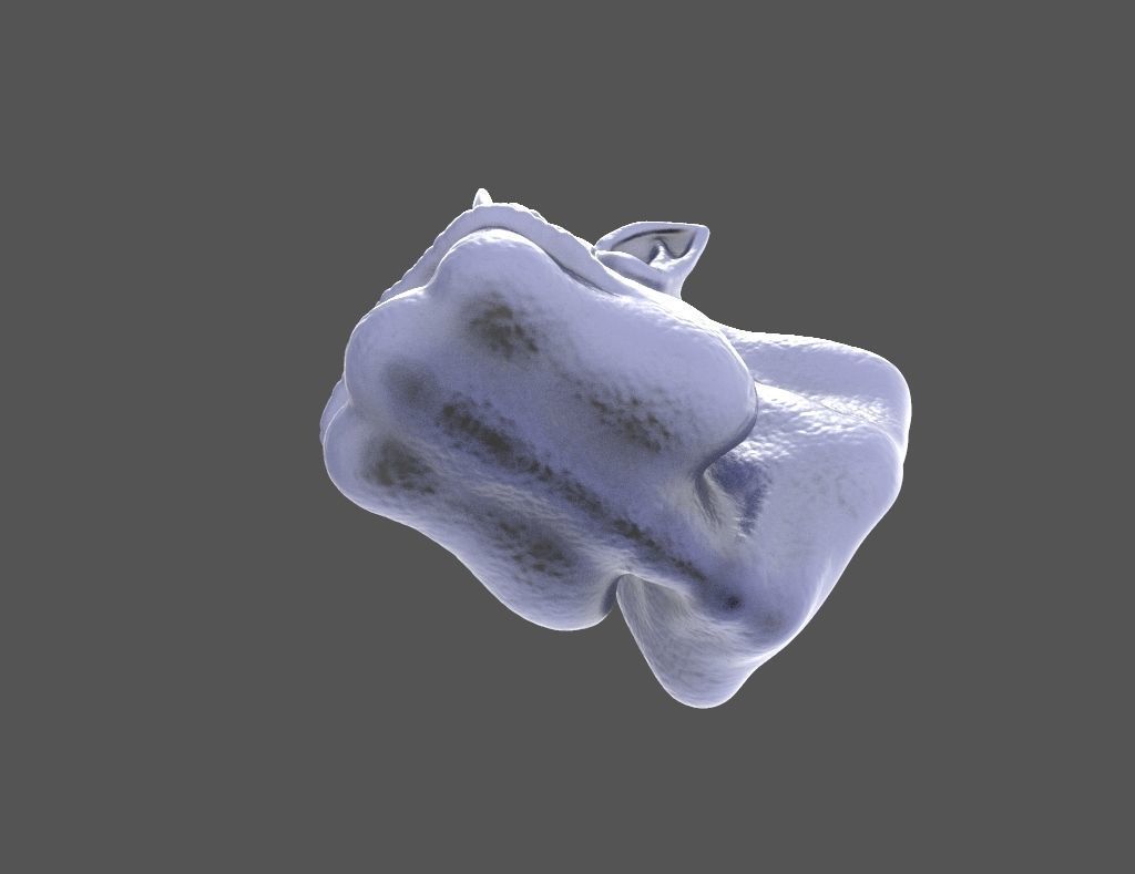 HEAD-Orc-6 high poly sculpt  3D model_3