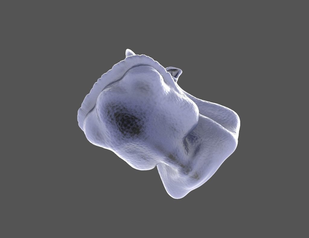 HEAD-Orc-7 high poly sculpt  3D model_4