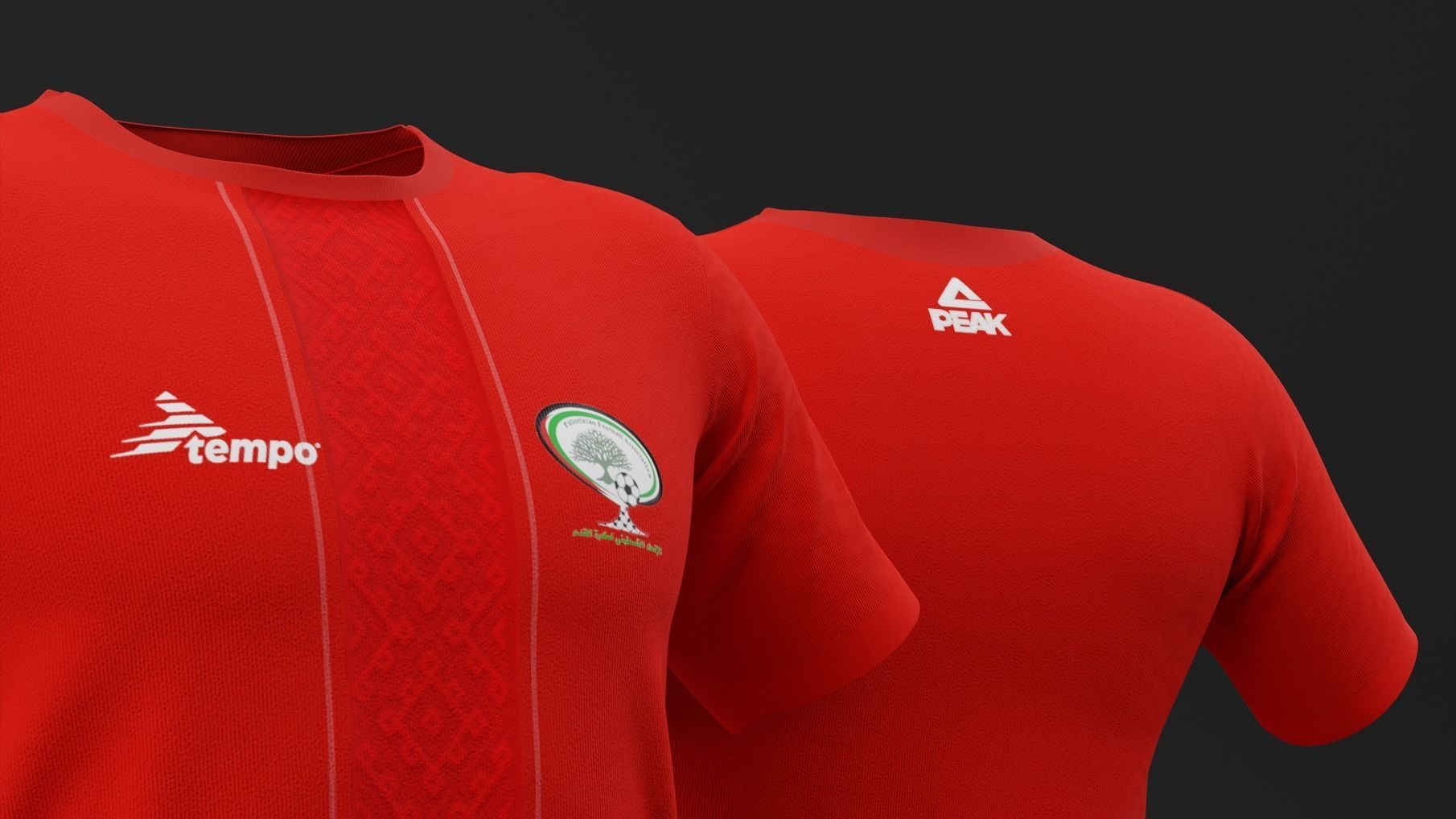 Palestine 2022  Home Jersey 3D model_1