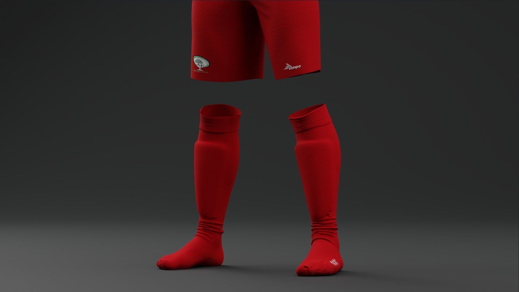 Palestine 2022  Home Jersey 3D model_11