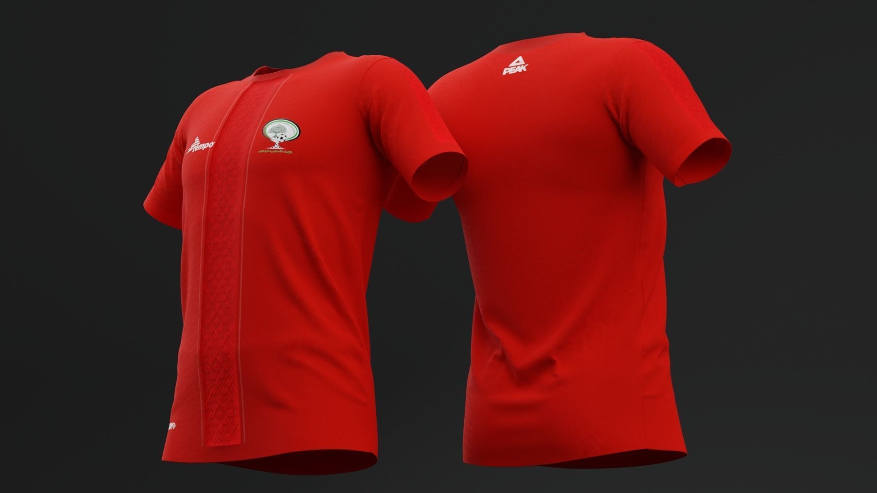 Palestine 2022  Home Jersey 3D model_2