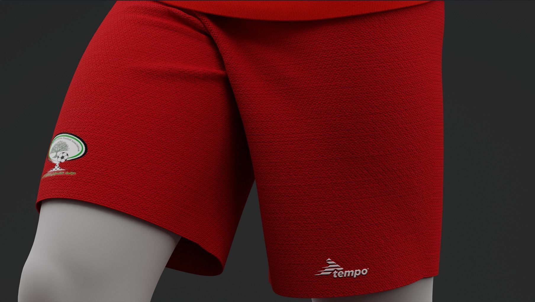 Palestine 2022  Home Jersey 3D model_6