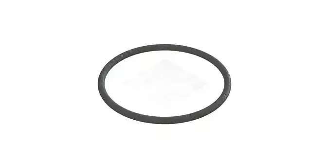 O Ring Vedabras 12811