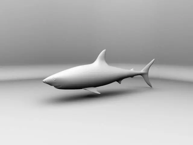 Shark Model Free 3D model_0