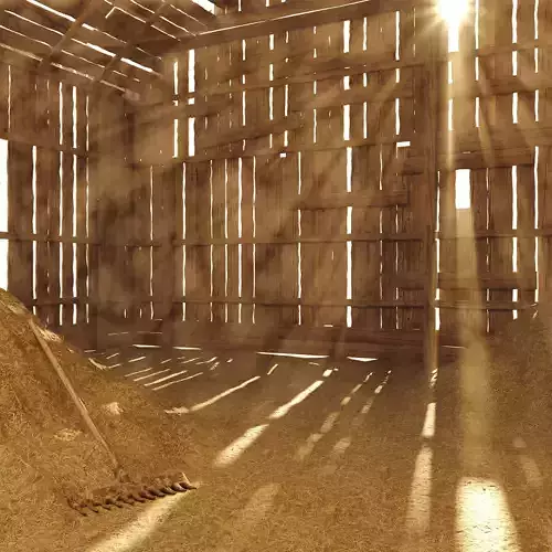 Old Hay Barn Interior Scene