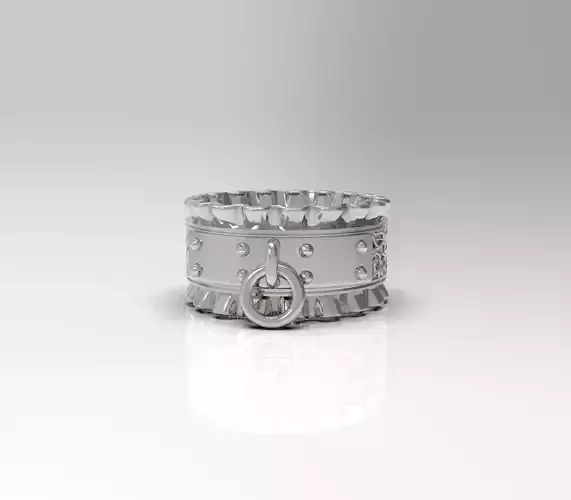 Set of rings-Choker BDSM-3D model STL-file for 3D printing