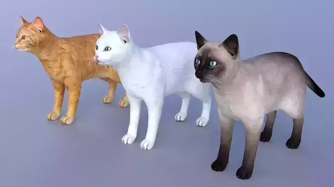 Cats Pack Low-poly 3D model