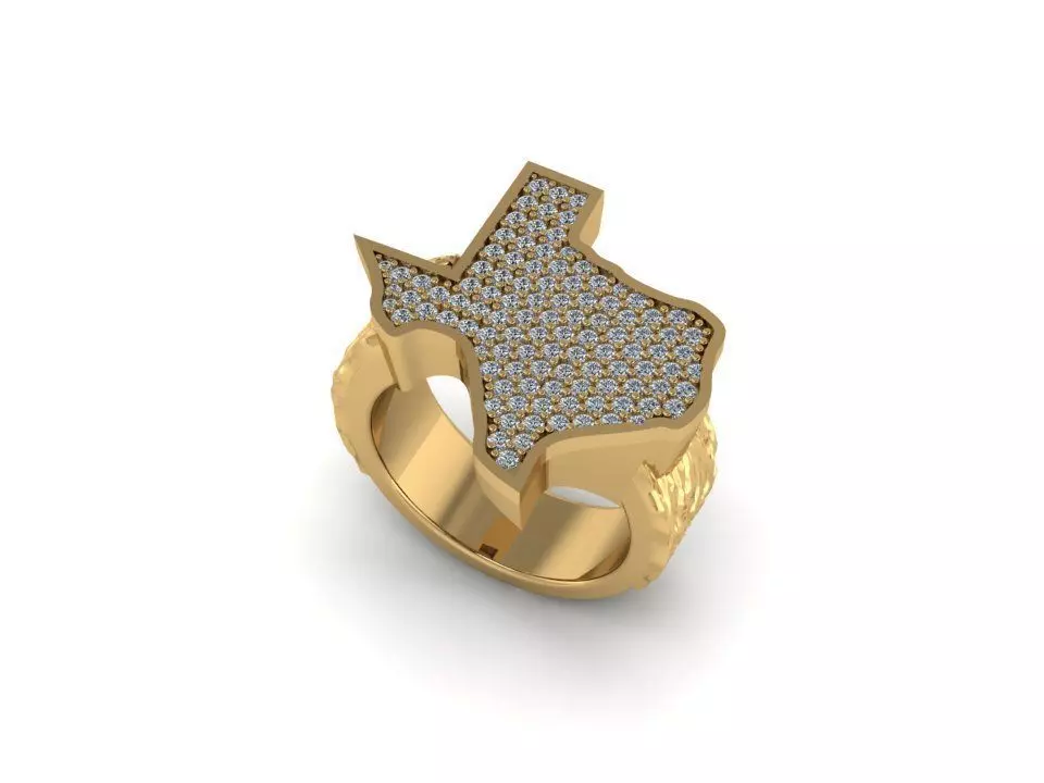 TEXAS RING 3D print model