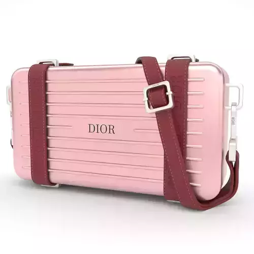 Dior x RIMOWA Personal Clutch On Strap