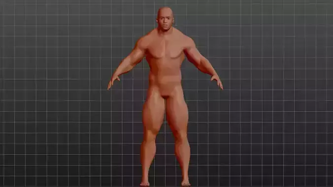 muscular male 3D model