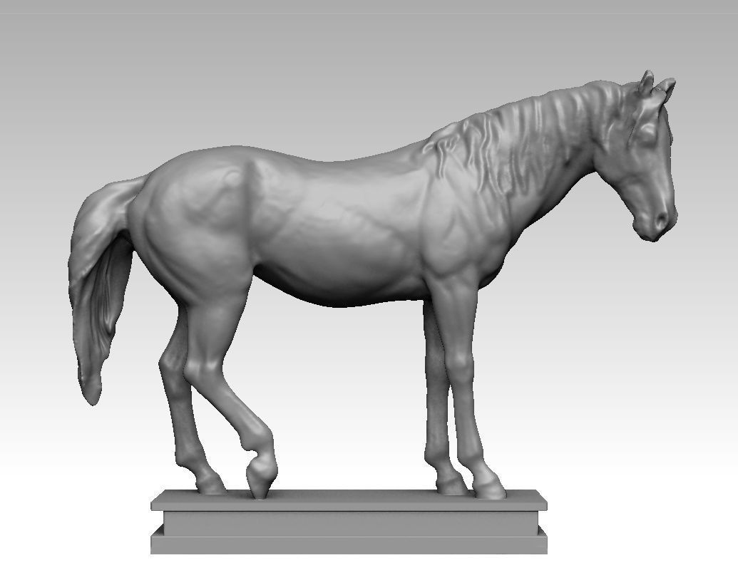 horse studio 3D model_6