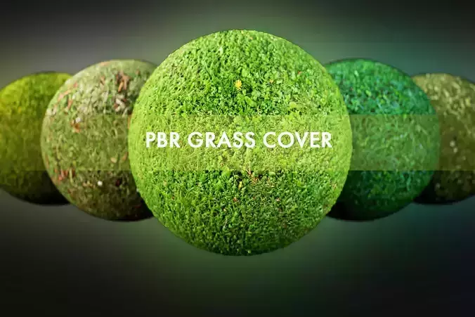 PBR Grass Cover Texture