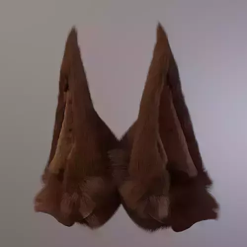 Fox Ears 3D model