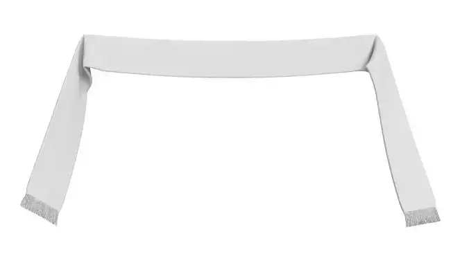 Football Fan Scarf 05