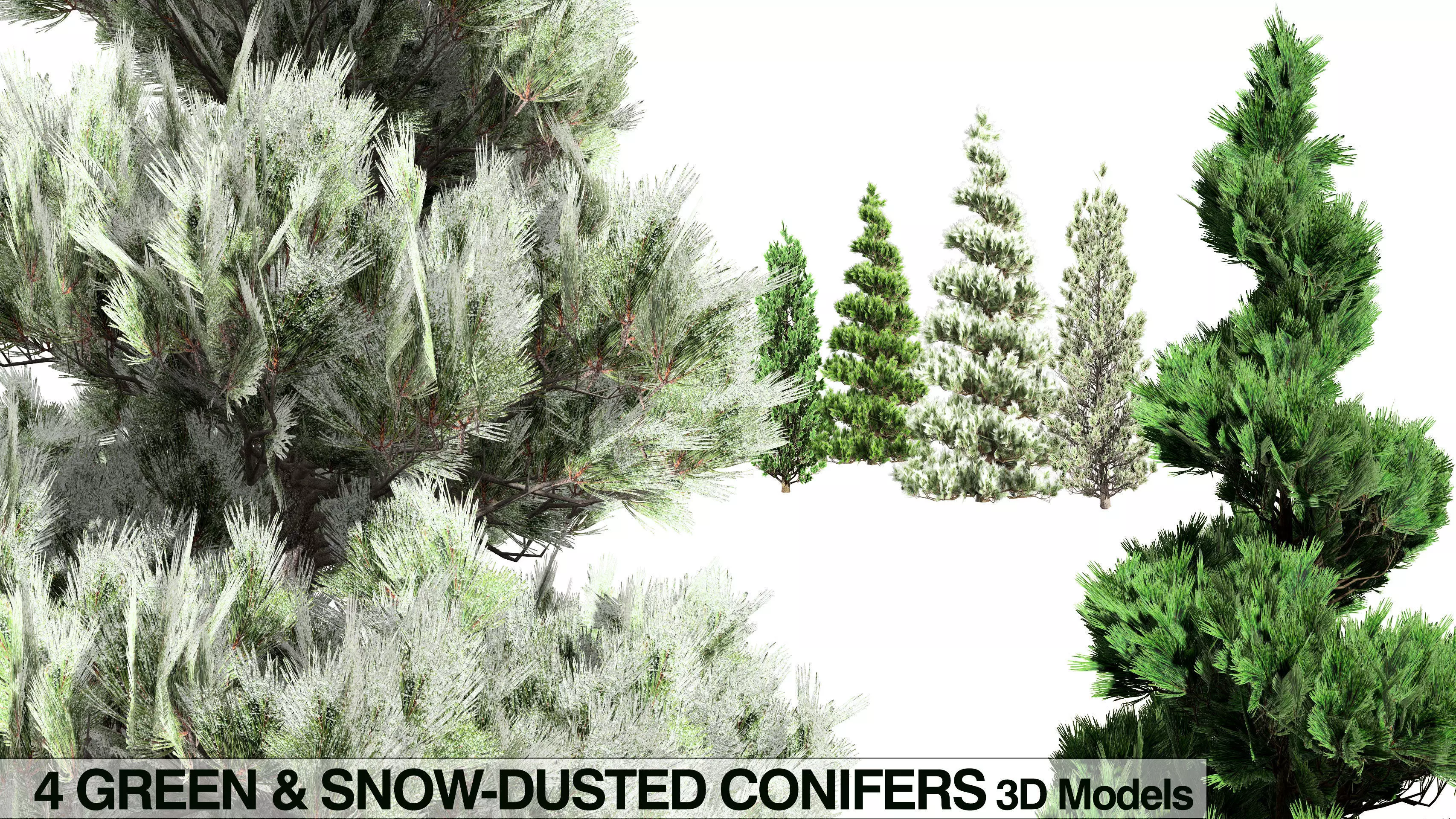 Green and snow covered spruce trees pack Low-poly 3D model_0
