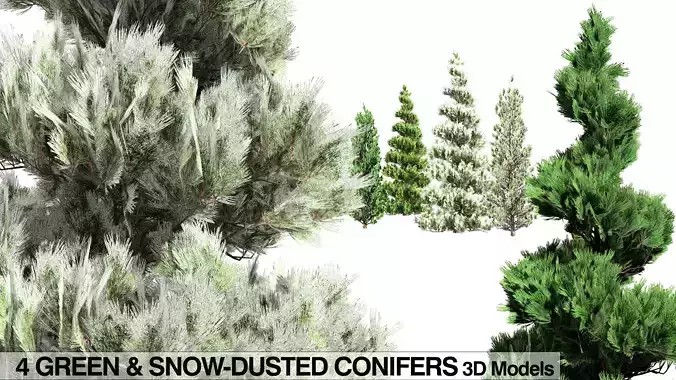 Green and snow covered spruce trees pack Low-poly 3D model