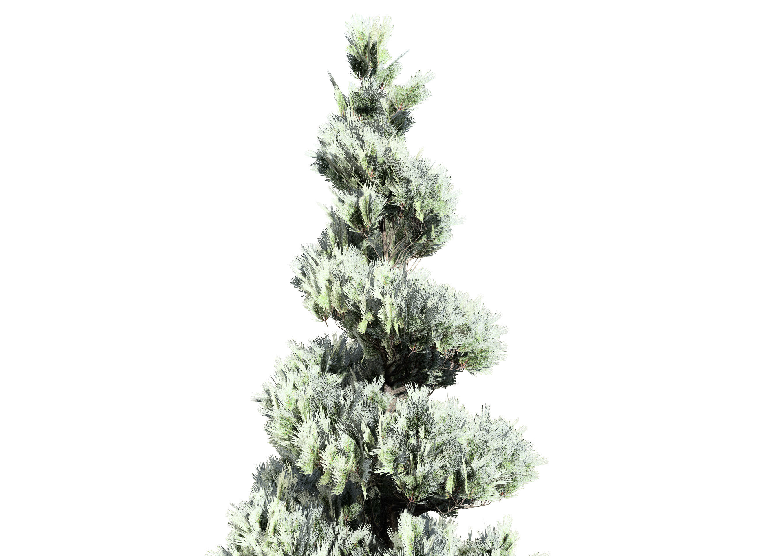 Green and snow covered spruce trees pack Low-poly 3D model_12