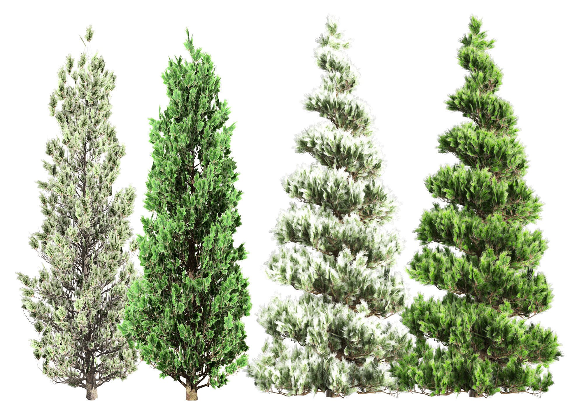 Green and snow covered spruce trees pack Low-poly 3D model_5