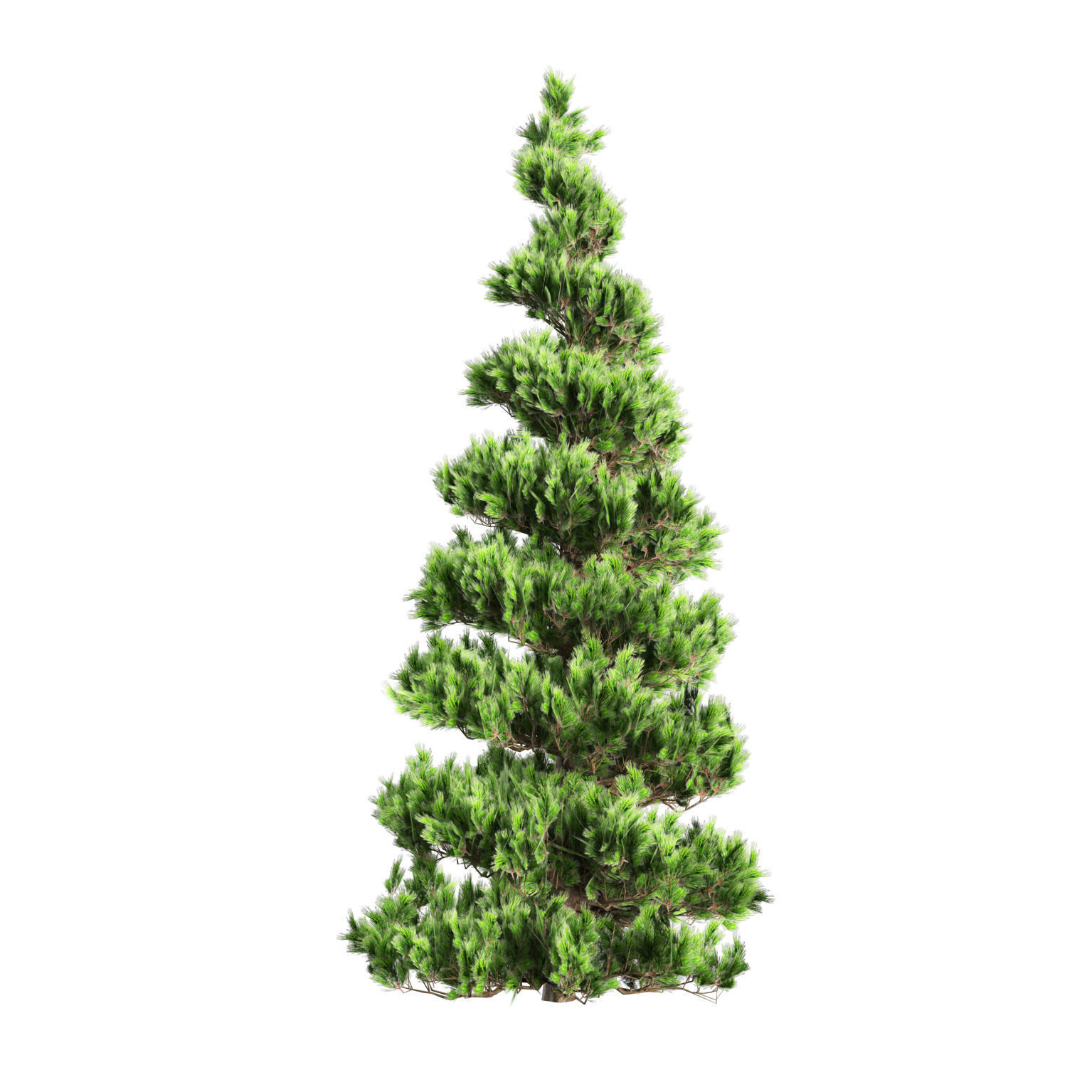 Green and snow covered spruce trees pack Low-poly 3D model_6